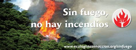 Sin Fuego No Hay Incendios Ecologistas En Acci N