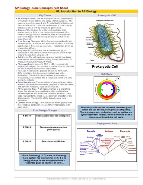 Ap Biology Cheat Sheet