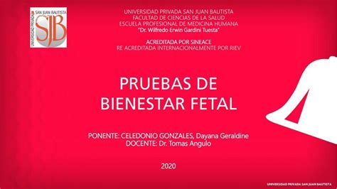 Pruebas De Bienestar Fetal Dayana Celedonio Gonzales Udocz