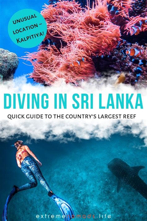 Ultimate Guide To Kalpitiya Diving Updated For Extreme Nomads