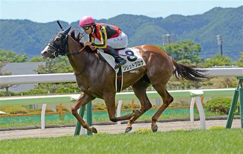 【函館新馬戦】ソリッドグロウv 横山武「スピードが違った」― スポニチ Sponichi Annex ギャンブル