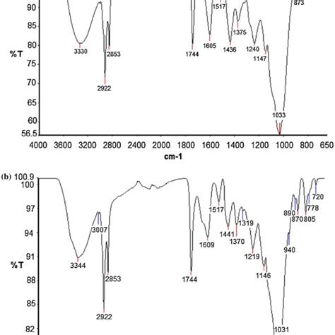 Ft Ir Spectrum Of Adsorbent A And Adsorbent Loaded With Copper Ions B Download Scientific