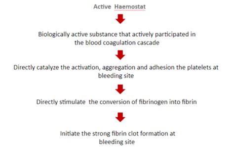 Haemostatic Agents Definition Types And Need Axio Biosolutions