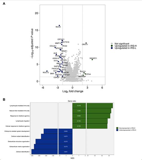 A Volcano Plot Representing Gene Expression Differences Between Download Scientific Diagram