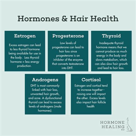 Supporting Healthy Hair And Healing Hair Loss