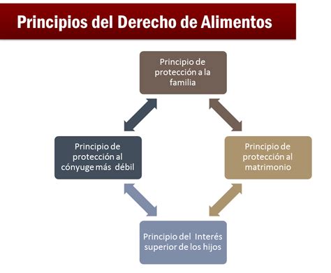 Justicia De Familia E Infancia Principios Del Derecho De Alimentos