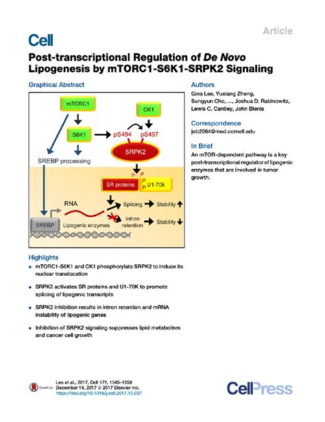 Post Transcriptional Regulation Of De Novo Lipogenesis By M TORC 1 S6K1