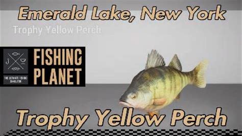 Fishing Planet Trophy Yellow Perch Emerald Lake New York YouTube