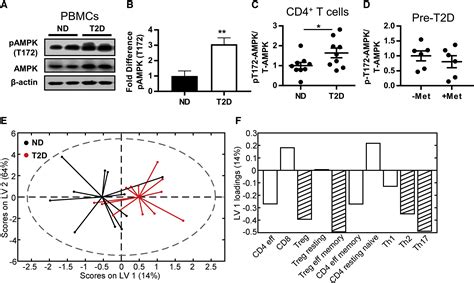 Fatty Acid Metabolites Combine With Reduced β Oxidation To Activate