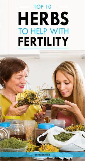 Top Herbs To Help With Fertility Read Our Post And Learn About