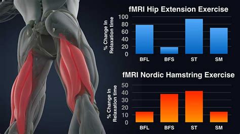 Nordic Hamstring Workout Eoua Blog