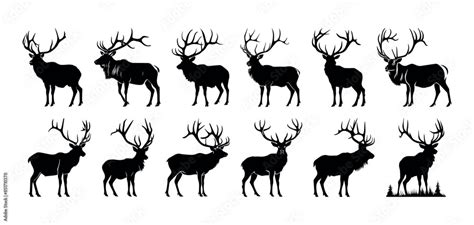 Elk And Deer Silhouettes Vector Set Of Black Standing And Walking Deer Silhouettes On White