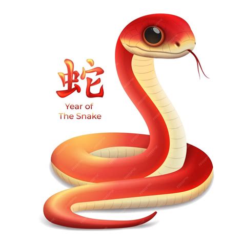 Premium Vector | Year of The Snake 2025 Zodiac sign Chinese new year ...