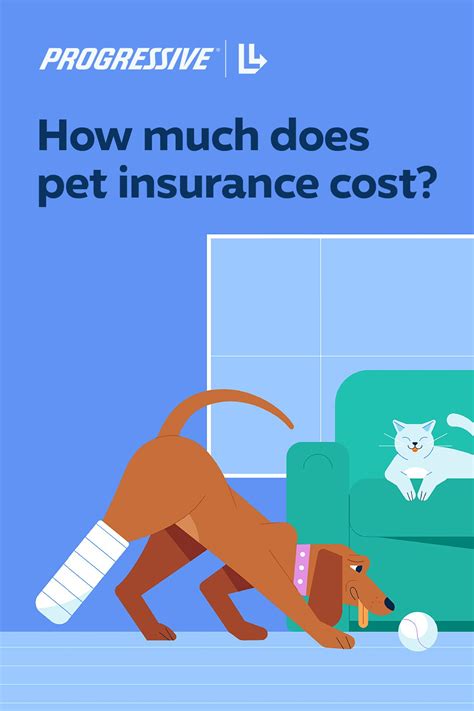 How much does pet insurance cost? | Pet insurance, Insurance ...