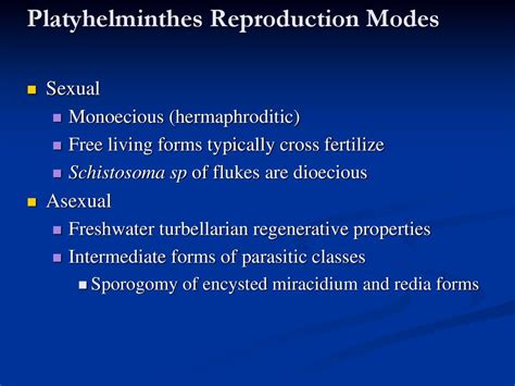 Bilaterate Phyla. - ppt download