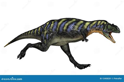 Vleesetende Dinosaurus Stock Illustratie Illustration Of Dier 12458201