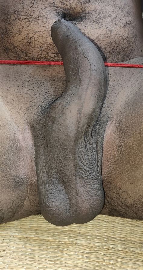 Kostenlose Schwule Porno Bilder Amateure Erotische Sex Fotos XHamster