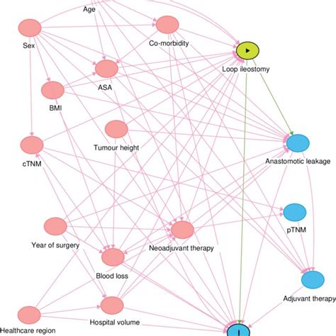 Directed Acyclic Graph Depicting The Proposed Relationships Between