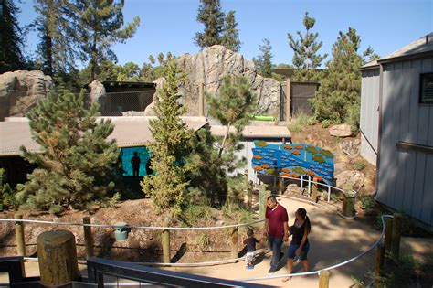 Fresno Chaffee Zoo Sea Lion Cove — Mla Engineering Consulting