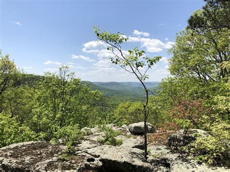 Just About Everyone Can Hike To The Top Of This Gorgeous Arkansas