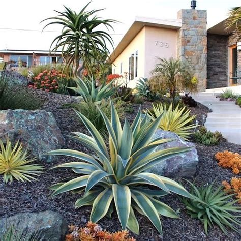 Drought Tolerant Garden Path Ideas You Ll Love July Houzz