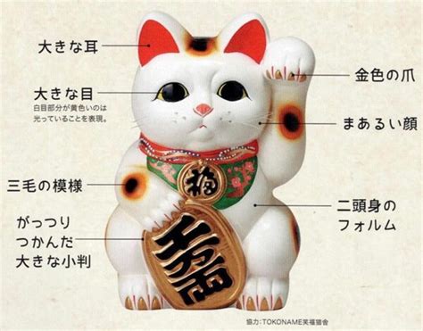 常滑焼の招き猫の置物など有名な右手上げ招き猫を紹介 ｜ 招き猫の秘密 Comは手や色の意味や置き場所や処分方法を解説