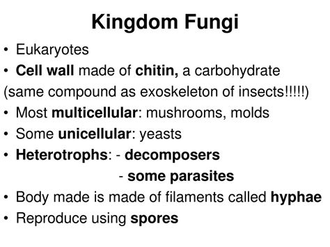 Ppt Kingdom Fungi Powerpoint Presentation Free Download Id4111868