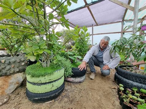 Chef Deja Antofagasta Para Establecerse Con Vivero En La Higuera La