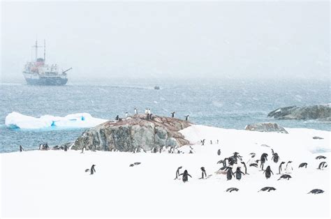 15 Places to Visit in Antarctica You Can’t Afford to Miss