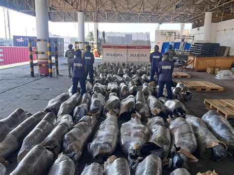 La Jornada Incauta Semar M S De Toneladas De Mariguana En Veracruz