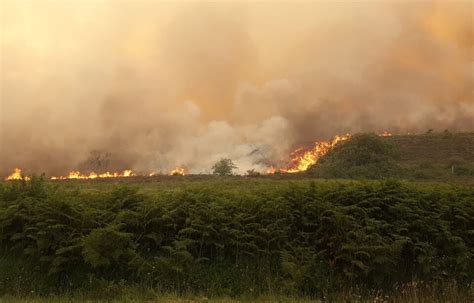 Incendies En Bretagne Trois Des Quatre Reprises De Feu Dans Les Monts