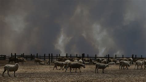 Fires Threaten Australian Towns That Have Already Burned Once - The New York Times