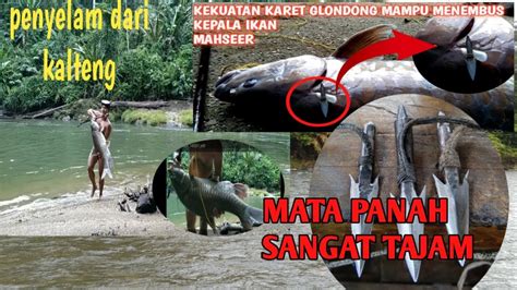 NEMBAK IKAN MAHSEER SAPAN PART 04 YouTube