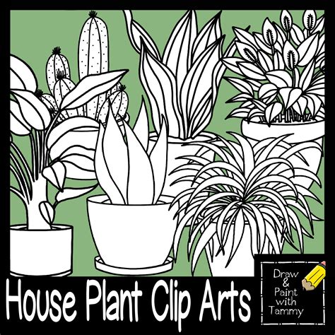 House Plant Clip Art