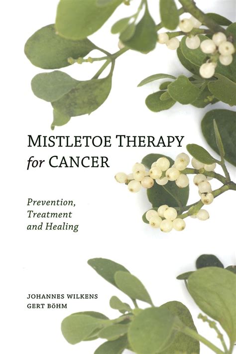 Mistletoe Therapy For Cancer Prevention Treatment And Healing