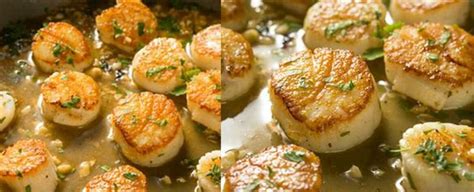 What Do Scallops Taste Like Discover The Culinary Delight For Your