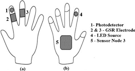 Schematic Of Gloves With Integrated Gsr Electrodes Ppg Sensors