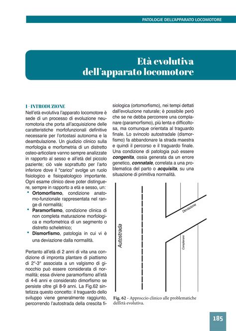 Ergonomia Postura Movimento Nell Uomo 1 6