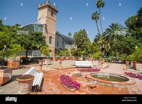 Botanical Garden Of Valencia Stock Photo Alamy