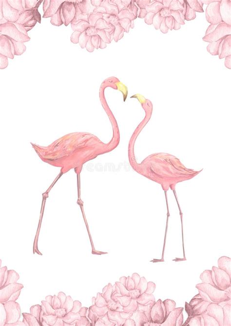 Flamingohochzeitseinladung Gru Karte Mit Rosa Flamingos Sch Ne