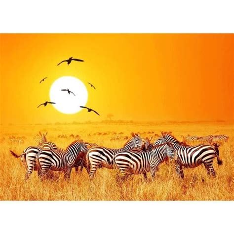 Puzzle Pi Ces Pour Adultes African Savannah Sunset Puzzle Tr S