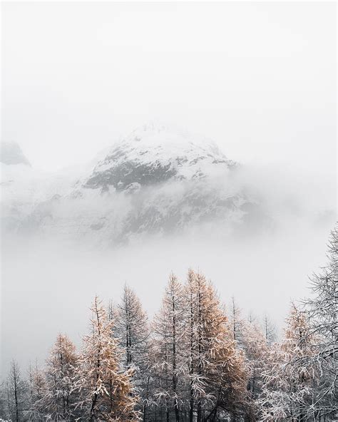 Landscape Winter Nature Trees Mountain Vertex Top Fog HD Phone