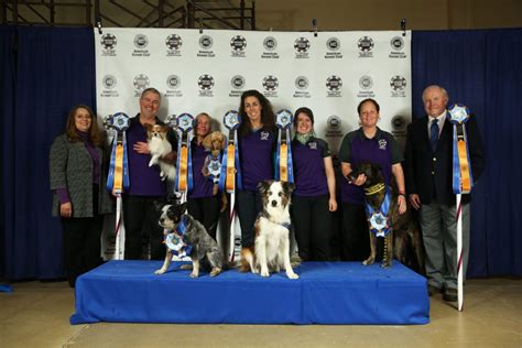 AKC National Agility Championship 2018 Winners See The List