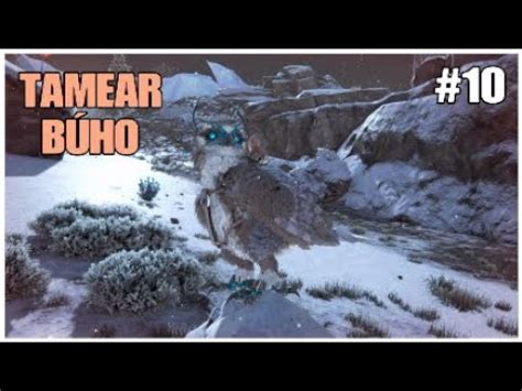 TAMEAR SNOW OWL 10 ARK EXTINCTION SERVIDOR OFICIAL PVE YouTube