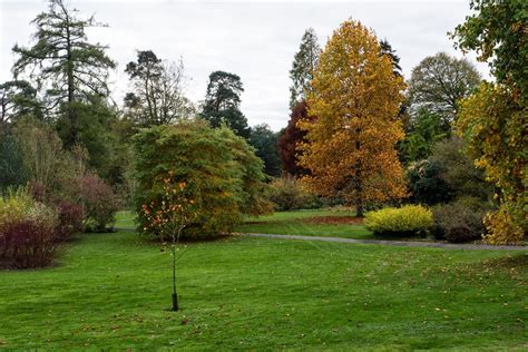 Michael Goodes: Scotney Castle Gardens in the Fall