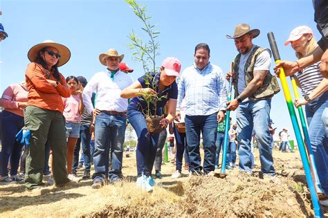 Encabez Tere Jim Nez Jornada De Reforestaci N Con Especies Nativas