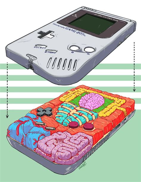 Gameboy Autopsy by Caleb LaPierre | Scrolller