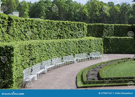 English Garden Style Topiary Haircut Of Shrubbery In The Form Of A