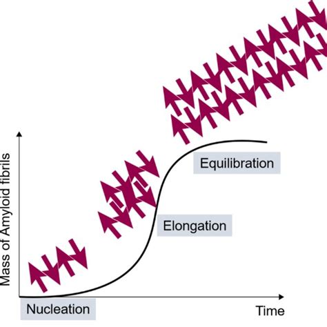 Schematic View Of Protein Misfolding Cyclic Amplification PMCA In