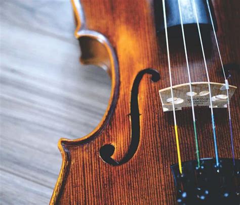 Top Fascinating Facts About The Violin Lark Music